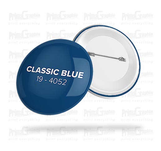 Pin